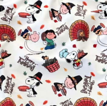 Thanksgiving Leotard | Snoopy & Friends