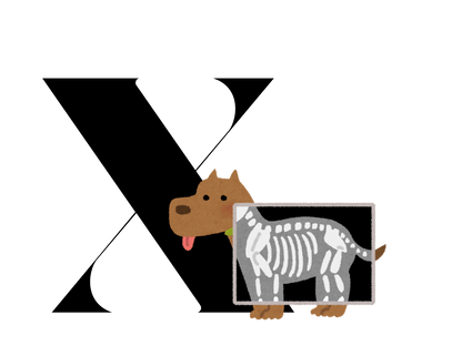 Alphabet Adventures: Letter X - X-Ray Vision Baby Onesie X is for X-Ray Vision! - Whippie's