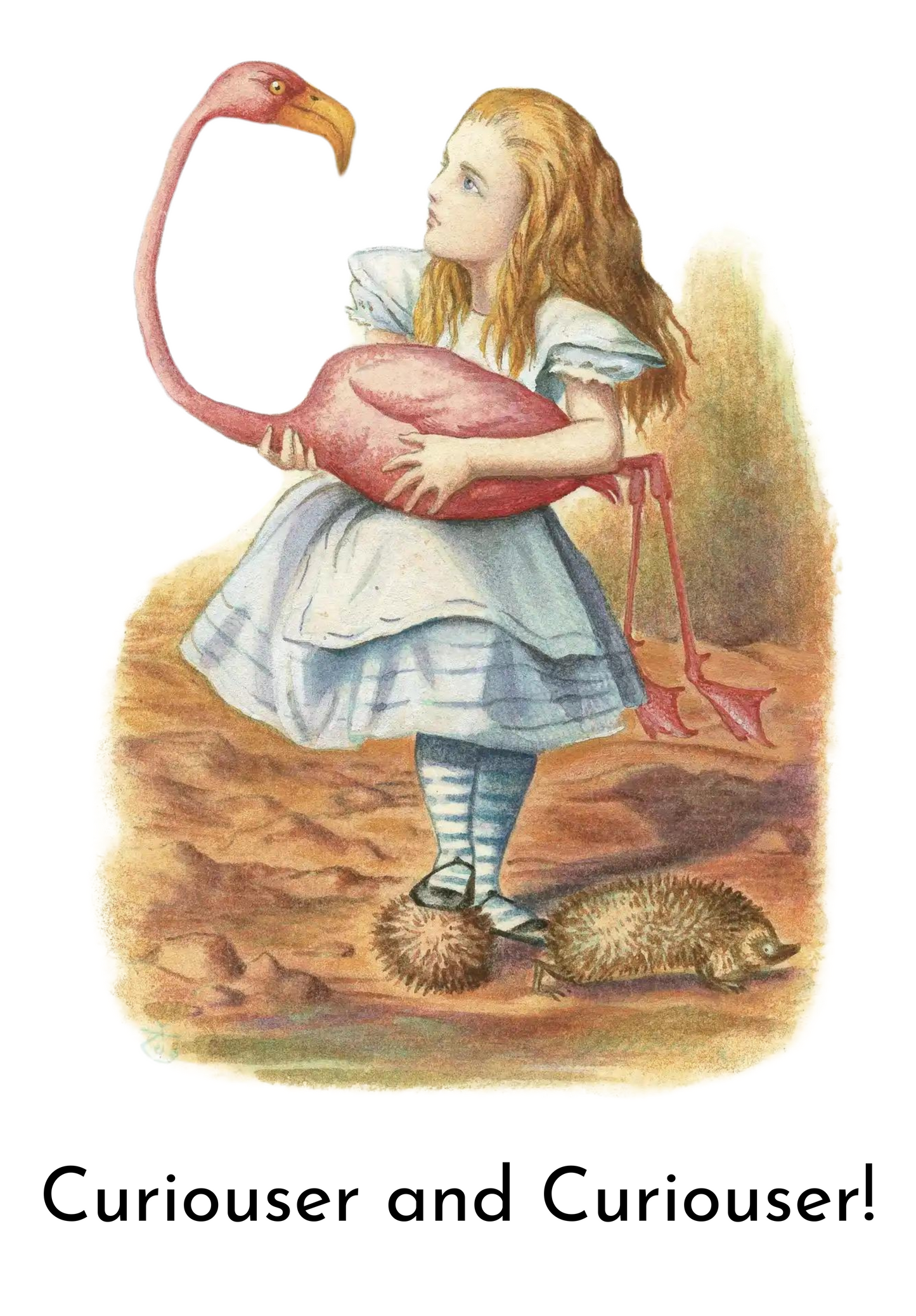 Alice in Wonderland T-Shirt | Flamingo Women’s V-Neck