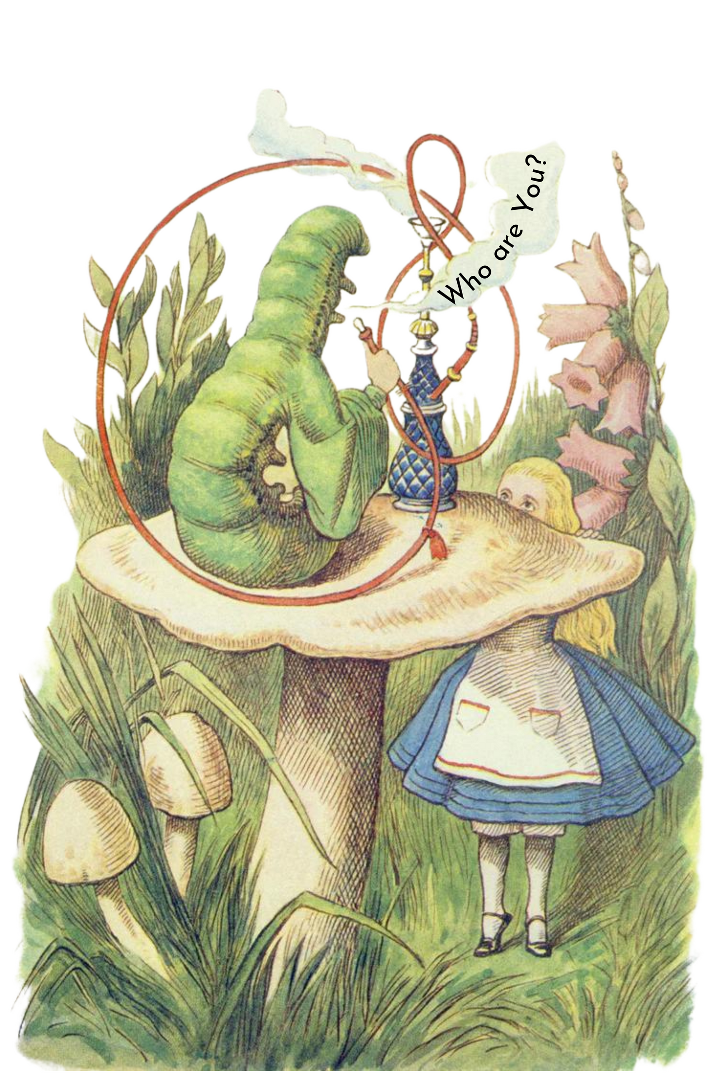 Alice in Wonderland T-Shirt - Who Are You Caterpillar Women’s V-Neck
