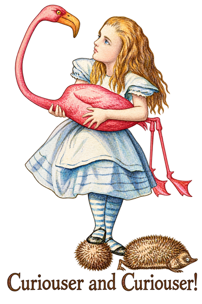Alice in Wonderland Shirt | Curiouser and Curiouser Flamingo Tee