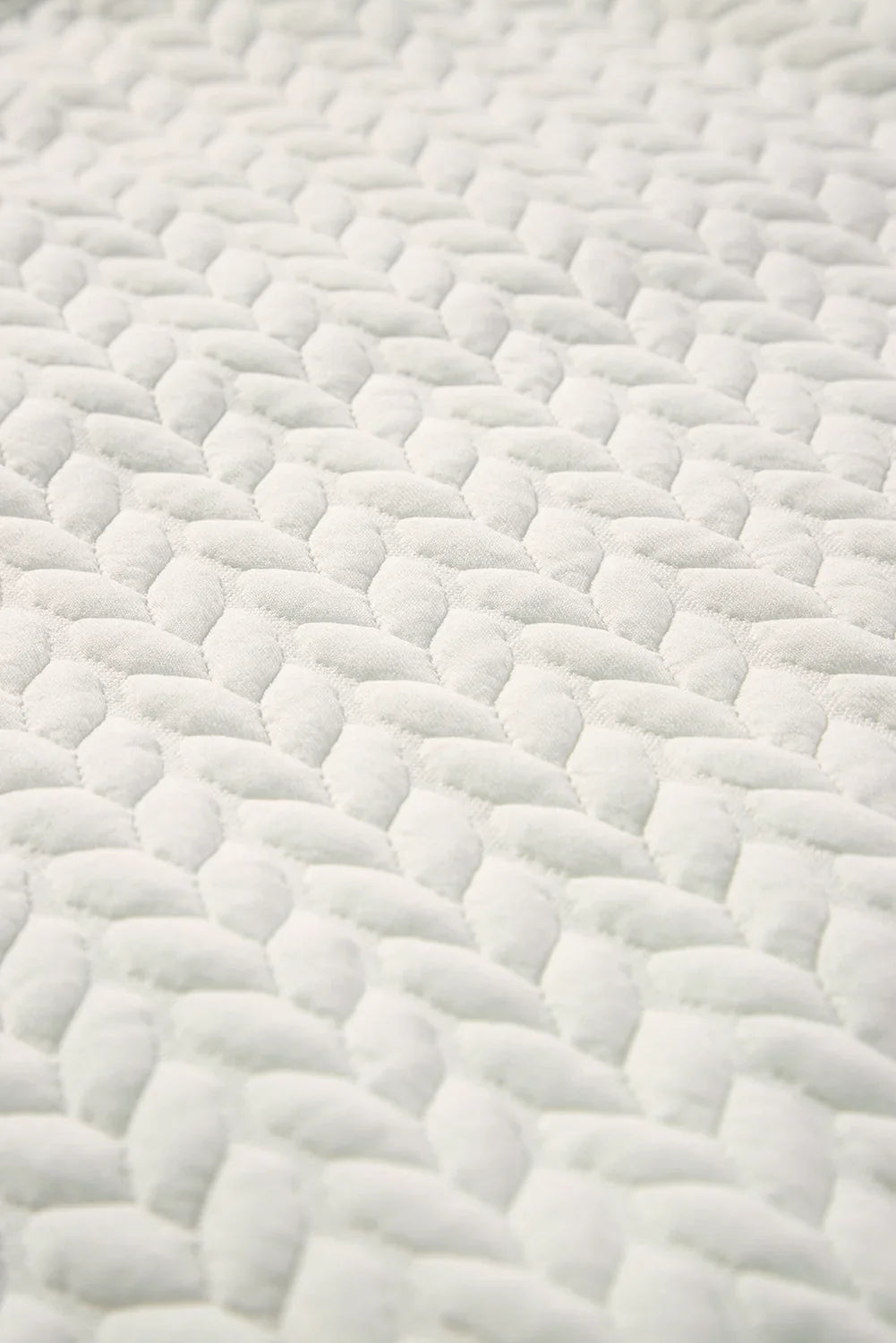 Chenille Cable Knit Sweatshirt | Holiday Collection