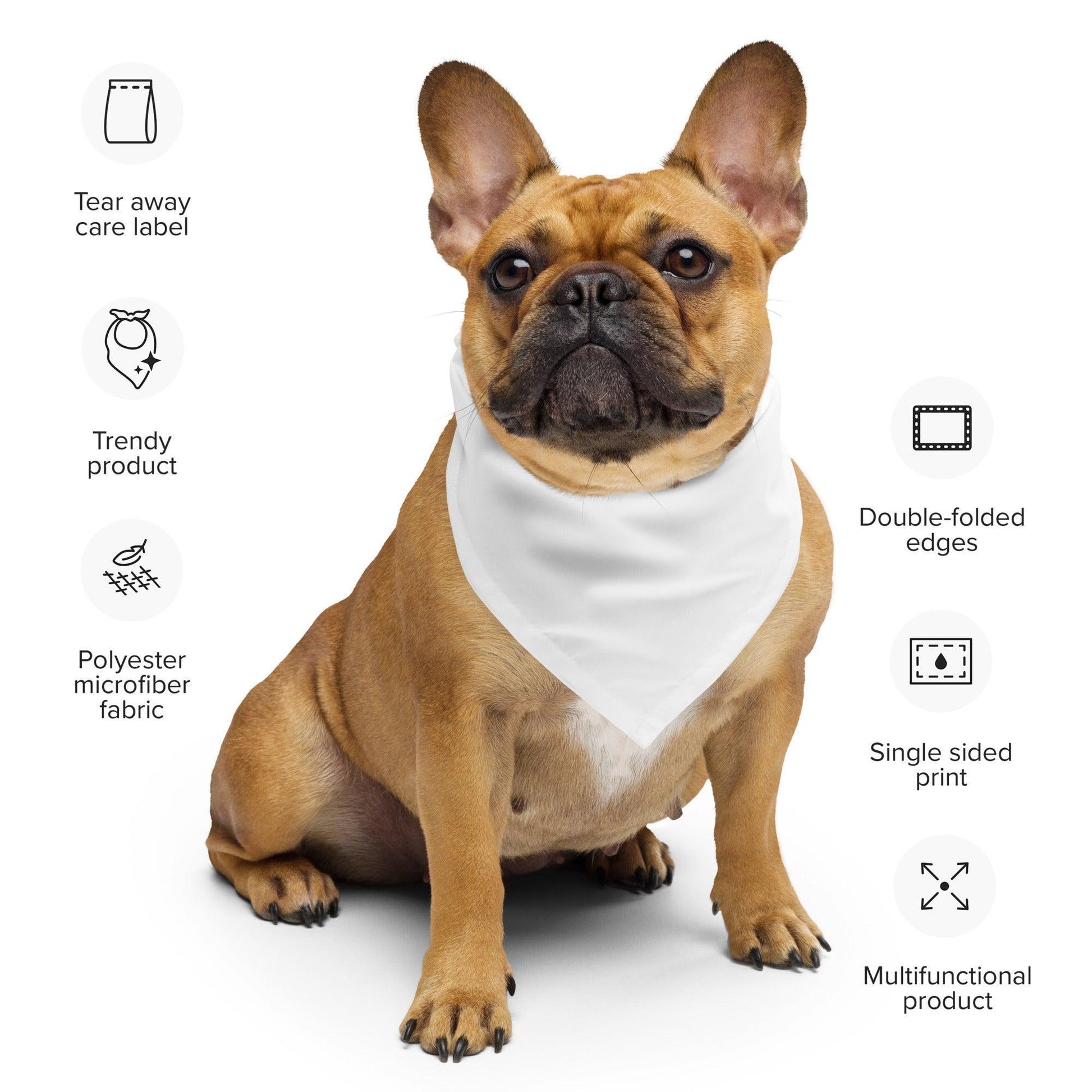 Too Cute to Spook Bandana - 👻💖 Add a Spooky Touch to Your Style! 💖👻 - Whippie's