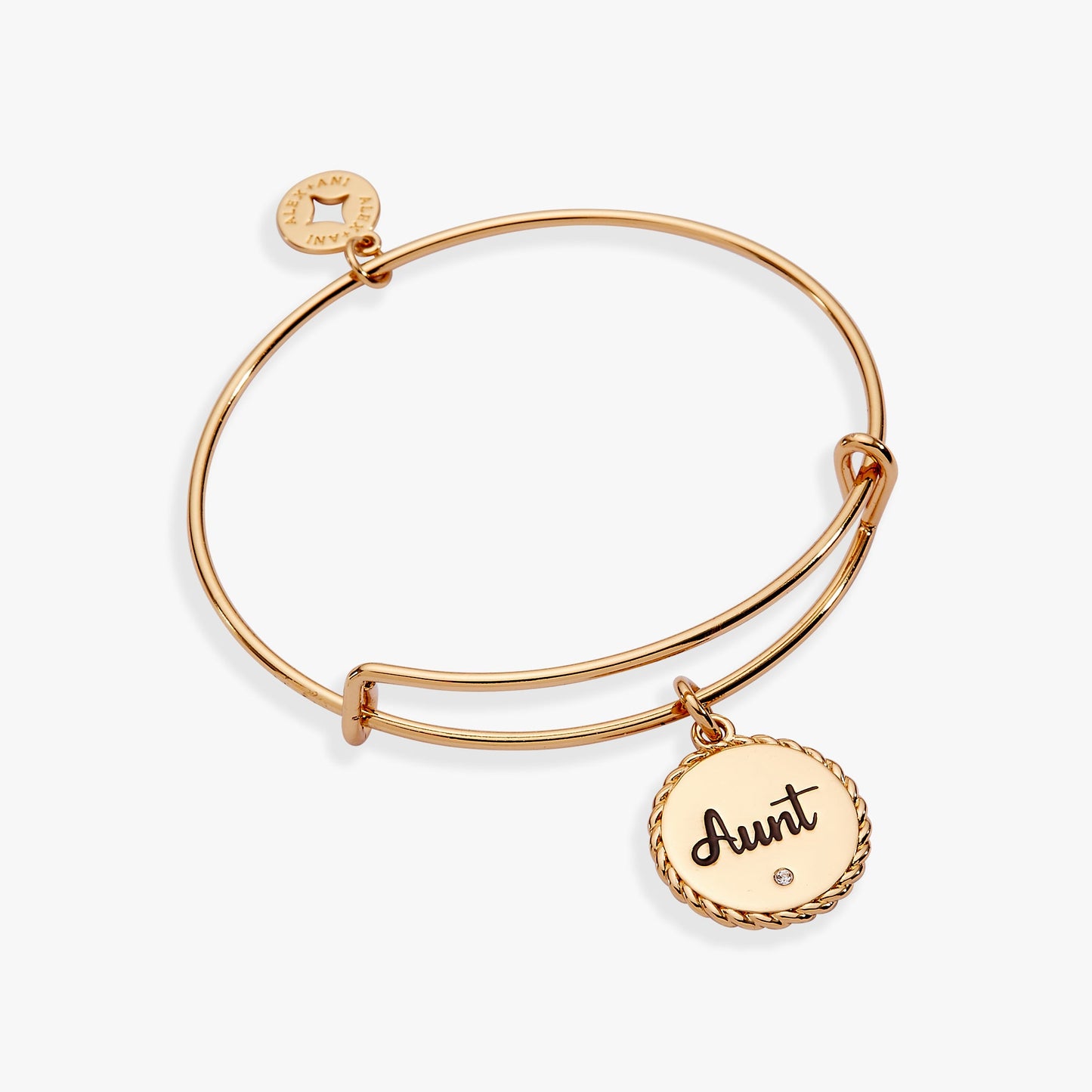 Aunt A Trusting Guide Forever By My Side Charm Bangle