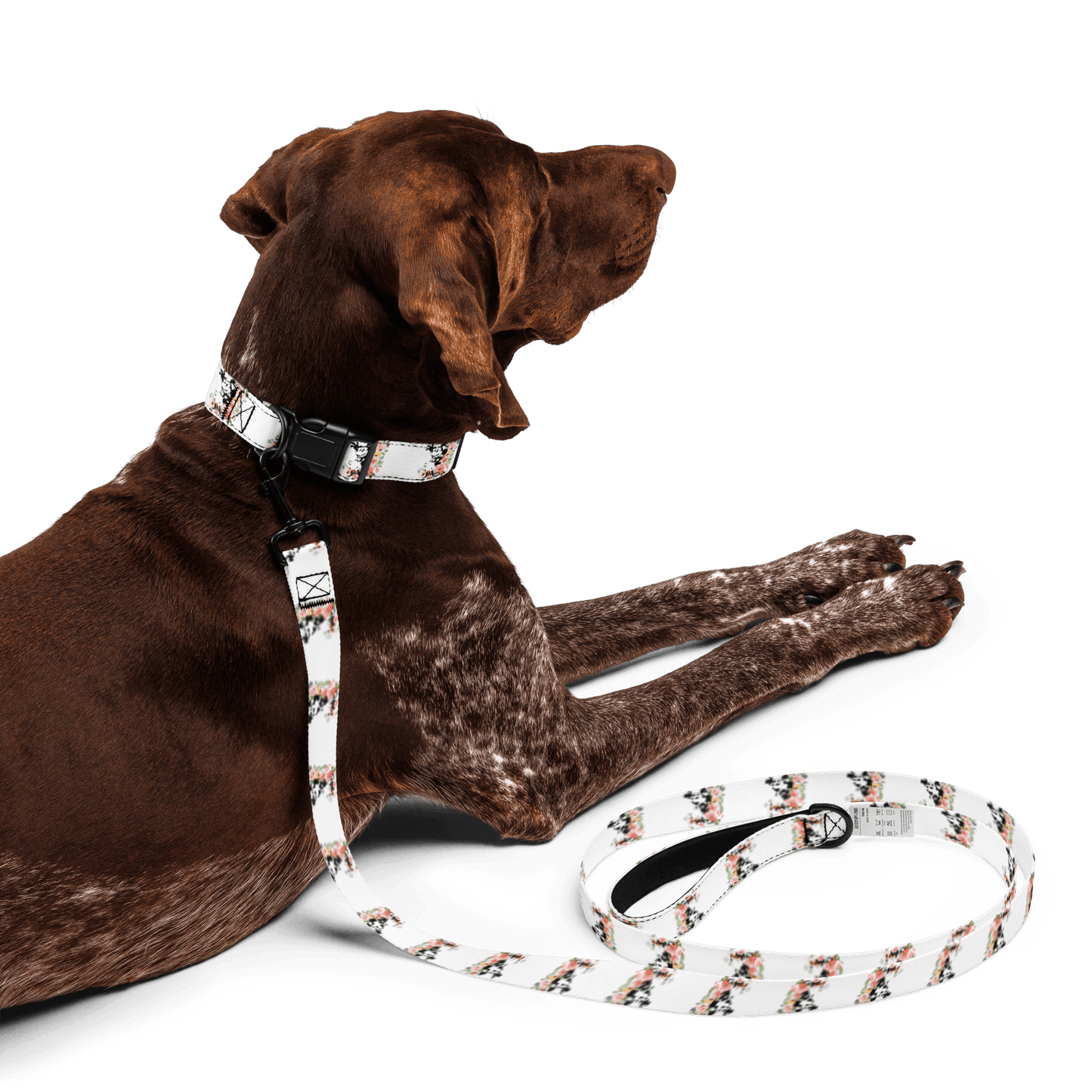 Steamboat Willie - Bloom - Pet Collar & Leash - Whippie's