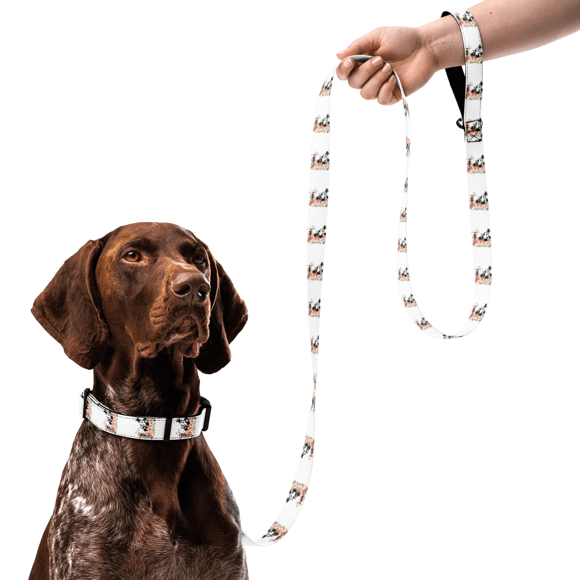 Steamboat Willie - Bloom - Pet Collar & Leash - Whippie's