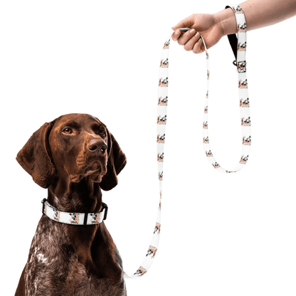 Steamboat Willie - Bloom - Pet Collar & Leash - Whippie's