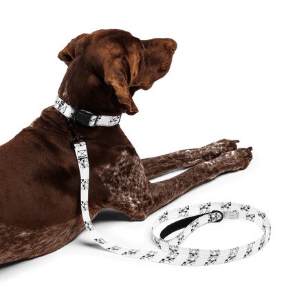 Steamboat Willie - Pet Collar & Leash - Whippie's