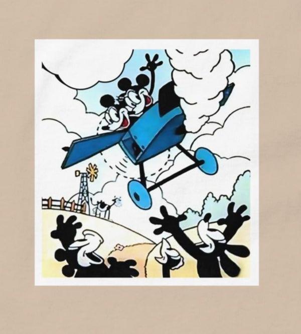 Plane Crazy - Unisex Tee - Whippie's