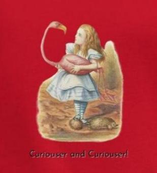 Alice in Wonderland - Flamingo - Youth T-Shirt - Whippie's